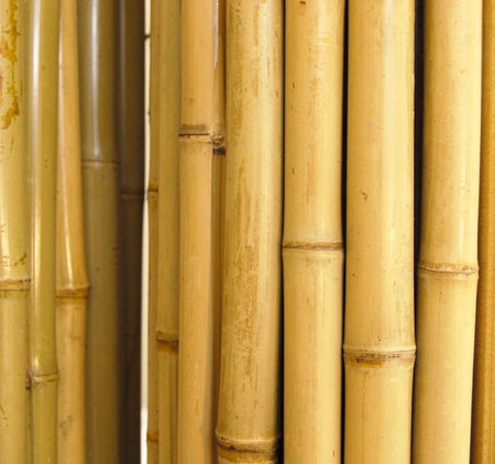 PRODUTOS DE BAMBU